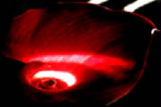 eroticpodi6x4website.jpg