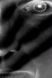 eyeofthehuntresscloseup46.jpg