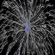 fireworksplasticwrapneonglow22-2.jpg