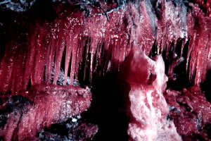 iciclecomb16x4.jpg