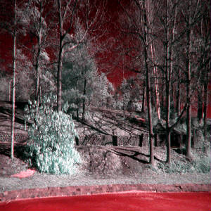 marslandscape44emailing.jpg