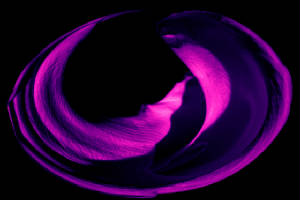 sepialilypurplepinkfilterpolarerotic6x4lowresformailing.jpg